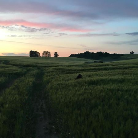 Broockhof Ferienwohnung Unterm Sternenhimmel In Mecklenburg Reimershagen Esterno foto