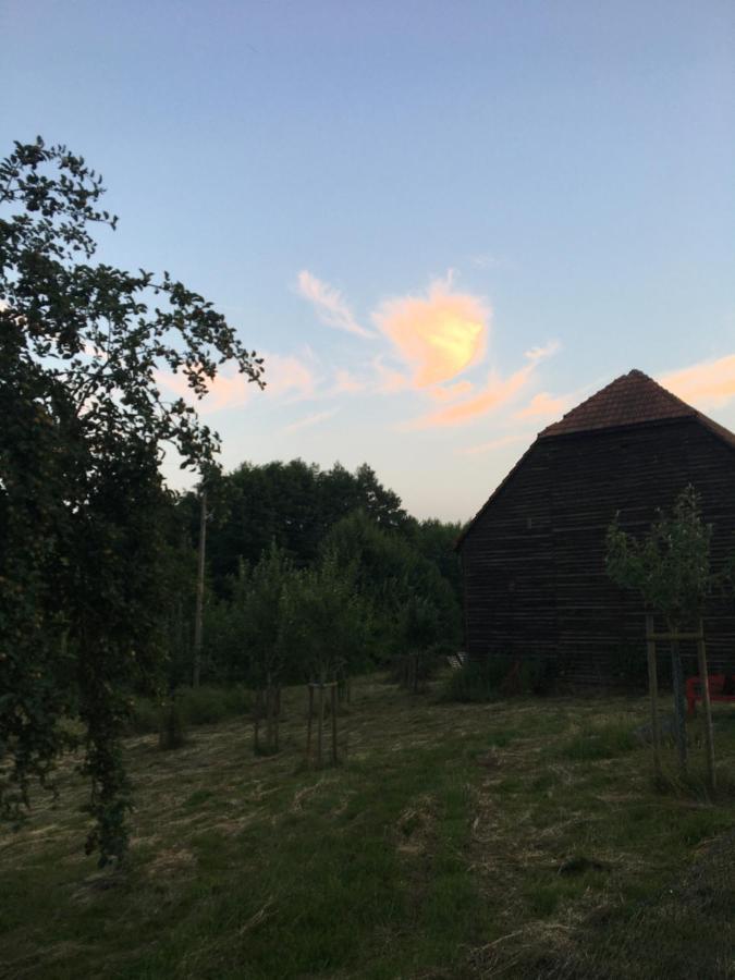 Broockhof Ferienwohnung Unterm Sternenhimmel In Mecklenburg Reimershagen Esterno foto